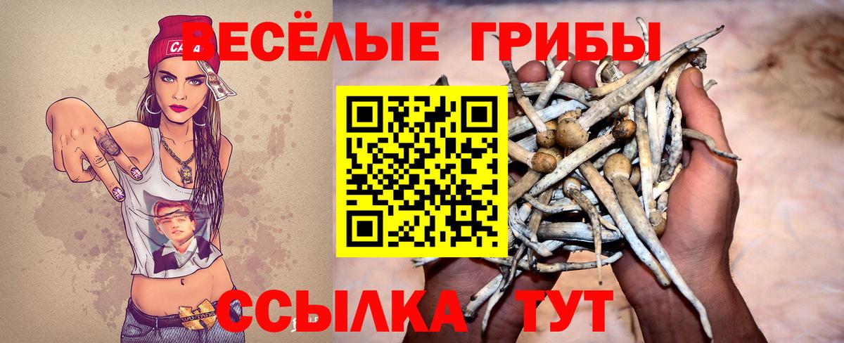Псилоцибиновые грибы GOLDEN TEACHER  Вход с VPN  Кировск 